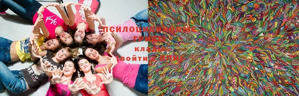 винт Корсаков