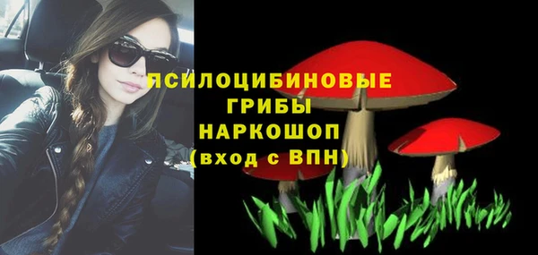 шишки Костерёво