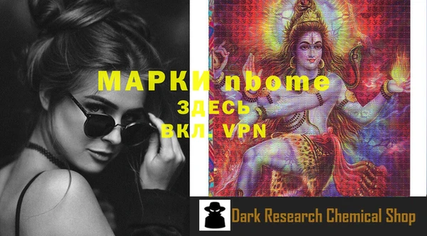 сатива Чердынь