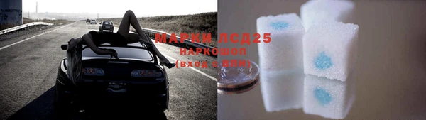 сатива Чердынь