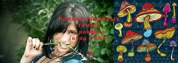 сатива Чердынь