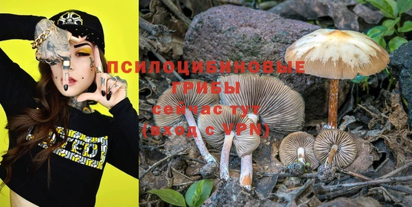 бутик Чегем