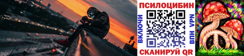 Купить закладки  Чайковский  Псилоцибиновые грибы мицелий 