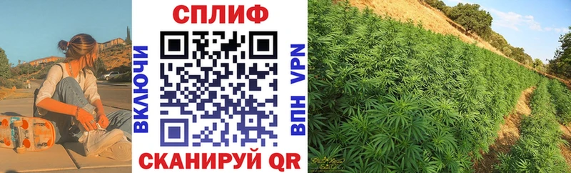 Бошки марихуана AK-47  Купить  Чайковский 